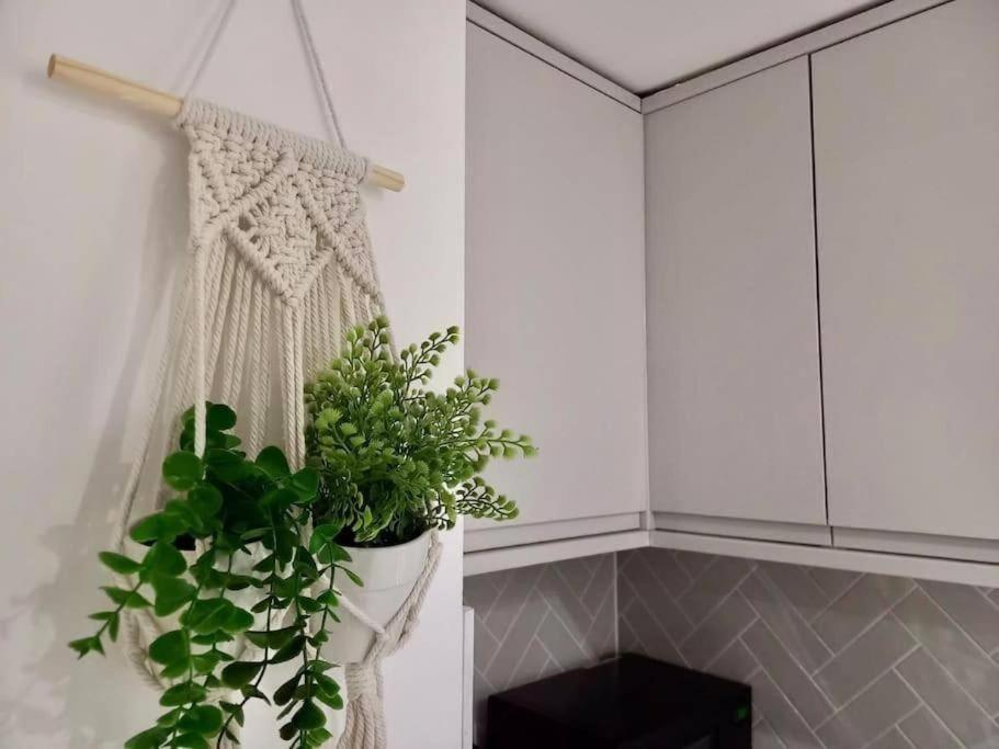 Flash Sale Kemptown 1 Bedroom Flat Bn236Stg04 Hove Extérieur photo